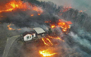 韓國史上最嚴重山林大火！4.5萬公頃森林毀滅 已釀28死、逾4萬人撤離