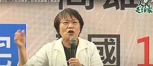 綠宣講高雄登場 劉世芳轟:民眾黨就是100%的另一種國民黨