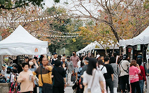 兩日突破50萬人衝高買氣  「樂高雄」兒童節變「完售節」