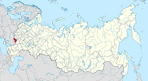 首度證實烏軍攻進俄國別爾哥羅德州 澤連斯基：繼續在敵境行動