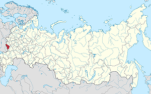 首度證實烏軍攻進俄國別爾哥羅德州 澤連斯基：繼續在敵境行動