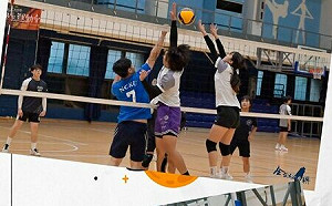 港澳學生社團擴大舉辦運動會 展現團結精神與青春活力