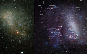 被撕裂的星系! 麥哲倫星系大吃小 超級恆星「潮汐拉伸」  凶手竟是它.....