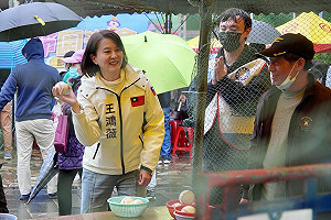 「山除薇害」罷免二階連署達標 王鴻薇4點回應:真金不怕火煉