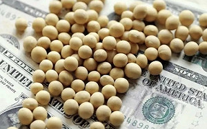 中美貿易脫鉤 「這產品」開了第一槍! 北京大量轉向巴西購買 還可傷到川普選民