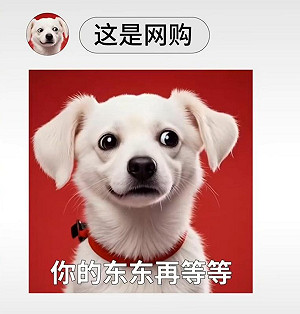 (影) 「你的東東再等等」! 被美團廣告狂酸 京東:比「幽靈外賣」大 不打口水仗