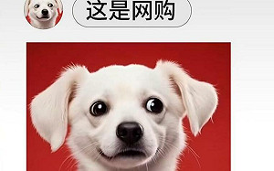 (影) 「你的東東再等等」! 被美團廣告狂酸 京東：比「幽靈外賣」大 不打口水仗