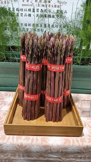 台灣種出本土「紫蘆筍」!新種「台南5號」助產業升級