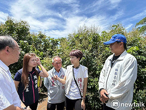 陳亭妃會勘台南龍眼荔枝災損  籲產區區公所主動協助通報