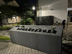 陳佩琪曝柯文哲常講陳文成案「下個輪他」基金會董事轟:破尿壺比玉器!你們不配!
