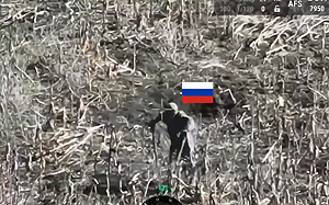 (影) 「消耗品」要用完? 傷殘俄軍拄拐杖欲毀烏軍鐵絲網 原來他屬這部隊…… 