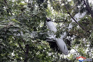 我們不要理睬它!北韓提「這要求」 慘遭國際民航組織駁回.....