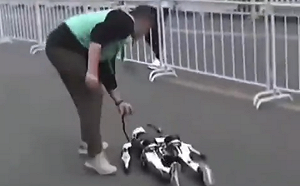 (影) 中國機器人參加半馬賽慘不忍睹! 抽風、摔倒、掉頭、散架樣樣來 