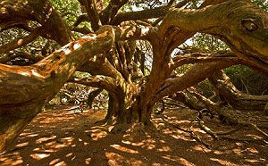 全球24個獨特自然景點! 壯麗景觀令人驚嘆 CNN : 第一名是「這裡」..... 