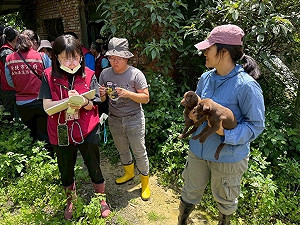 新北查獲非法犬隻繁殖場、68隻犬受虐! 飼主遭重罰116.8萬