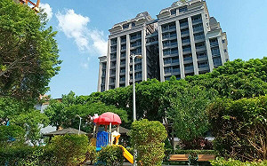 青年購宅兩極化 近半數青年購屋買新案