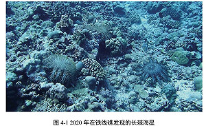「首次」發布鐵線礁、牛軛礁珊瑚礁生態 中國科學「服務」政治指控菲律賓
