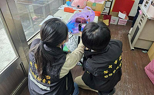 江和樹稱台中安眠藥抓狗賣狗肉、石虎肉猖獗! 33歲越南籍移工被捕