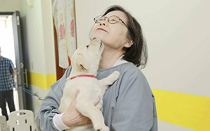 讚導盲犬為視障朋友打開光芒！蔡英文抱「Choya」笑：妳喝醉啦    