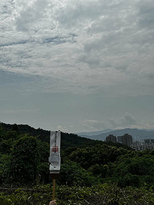 美麗華董事黃春照欠稅逾2億元 名下5筆土地5/6拍賣