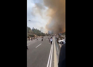 (影) 哈瑪斯打不過以軍就縱火報復? 以色列周邊森林突發大火 大批民眾被迫撤離