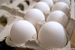 又見芬普尼蛋！溯源南市振崑畜牧場