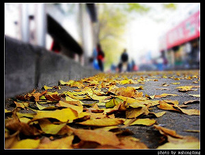 氣象局預測秋天氣候：氣溫偏暖、雨量正常偏少