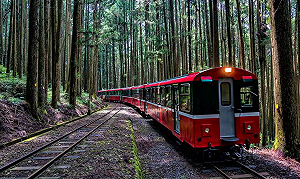 芬多精之旅再延伸！阿里山森鐵10月增「水山支線」