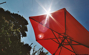 一早被太陽叫醒！台灣西半部最高達30度