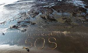 國際期刊證實！大潭藻礁世界僅有需保育