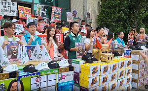 專論》桃園藍六席全進二階被罷榜單 綠軍hold得住？！