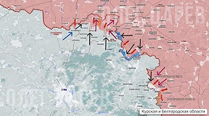 俄羅斯「夏季攻勢」減弱 想佔領烏東4州還得數年