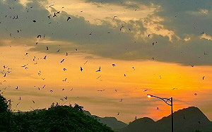 台灣影片迎雙喜！鄧文斌團隊〈福路雙全〉、〈褒出海島人生〉榮獲美國休斯頓國際影展金獎、銀獎