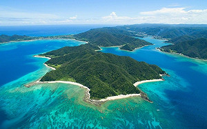 3中國男赴日被捕！行李箱傳出沙沙聲 打開竟發現上千隻「這活體」.....