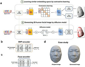 AI人臉監視大躍進? Difface模型 中國用DNA序列重建3D人臉