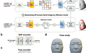 AI人臉監視大躍進？ Difface模型 中國用DNA序列重建3D人臉