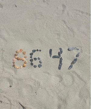 8647=暗殺川普?前FBI局長海灘貝殼照引風暴 美情報高層怒批應關監獄