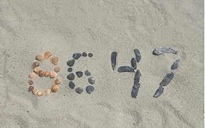 8647＝暗殺川普？前FBI局長海灘貝殼照引風暴 美情報高層怒批應關監獄 