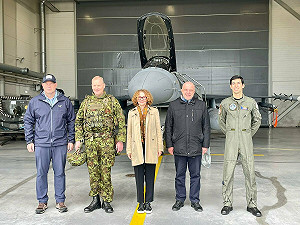 美駐北約大使:下半年將與盟友討論自歐撤軍