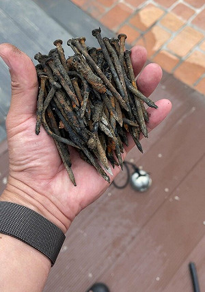 中市府斥資3千萬整建大安海水浴場竟藏大量生鏽鐵釘 遊客踩到流血