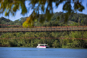 暑假親子遊正夯 參山處力推獅頭山、峨眉湖 挪威森林受到親子客群青睞