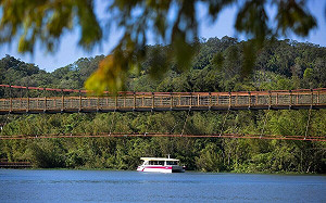 暑假親子遊正夯 參山處力推獅頭山、峨眉湖 挪威森林受到親子客群青睞