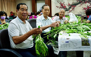 迎接端午穿木屐躦鯪鯉踩街活動  萬和宮志工挑揀250斤麻芛