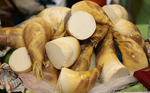 夏季綠寶石!多汁爽脆「綠竹筍」 4大挑選原則不藏私