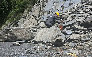 連日大雨坍方落石!雪管處:大鹿林道東線 自行車暫時禁止進入