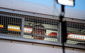 「別以為民進黨永遠執政」陳佩琪曝柯文哲說：打倒邪惡綠共救台灣