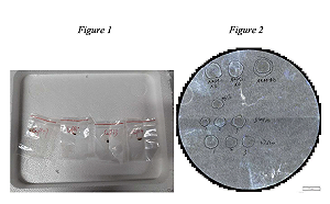 真菌武器植入美國？ 2中國人被控「預謀走私有害真菌」 恐重創美農業