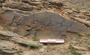 真的有求長生不老藥! 秦始皇西行尋仙藥真跡曝光 2千多年前神秘摩崖石刻現 