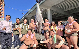 屏東黑鮪魚季迎來日本相撲力士 挑戰扛黑鮪魚體驗在地文化 