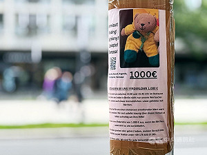 母親過世前的禮物 德國遊客懸賞1000歐尋泰迪熊